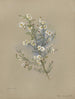 Album akvarell av Deborah Griscom Passmore Pl47 - Deborah Griscom Passmore — vy av konstverket