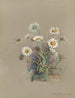 Album akvarell av Deborah Griscom Passmore Pl52 - Deborah Griscom Passmore — vy av konstverket