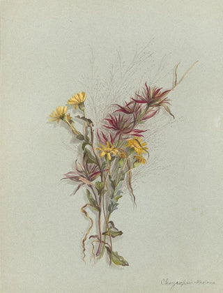 Deborah Griscom Passmore - Deborah Griscom Passmore watercolor album Pl54.webp