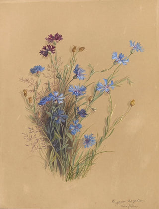 Deborah Griscom Passmore - Deborah Griscom Passmore watercolor album Pl56.webp