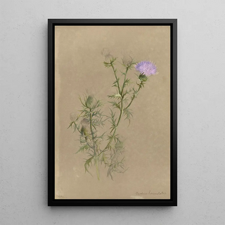 Deborah Griscom Passmore - Deborah Griscom Passmore watercolor album Pl57.webp