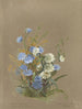 Album akvarell av Deborah Griscom Passmore Pl58 - Deborah Griscom Passmore — vy av konstverket