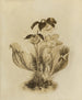 Album akvarell av Deborah Griscom Passmore Pl61 - Deborah Griscom Passmore — vy av konstverket