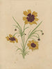 Album akvarell av Deborah Griscom Passmore Pl68 - Deborah Griscom Passmore — vy av konstverket