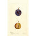 Reproduktion av målningen Prunus domestica White Queen - Deborah Griscom Passmore