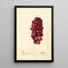 Reproduktion av målningen Vitis Jacob Moore - Deborah Griscom Passmore