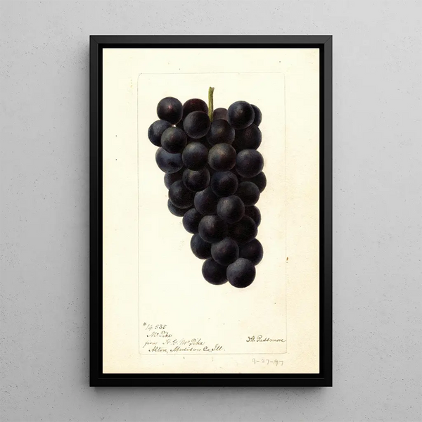 Reproduktion av målningen Vitis McPike - Deborah Griscom Passmore