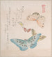 Diverses mites et papillons - Kubo Shunman — vy av konstverket