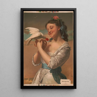 E H T Anthony Co - The pet dove.webp