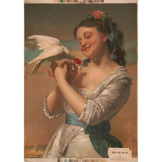 E H T Anthony Co - The pet dove.webp