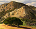 Chênes et rochers à San Luis Obispo - Edward Bruce — vy av konstverket