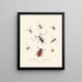 En sammanfattning av den naturliga historien om insekter från Nya Holland Nya Zeeland Pl04 - Edward Donovan — inramlat konstverk på väggen