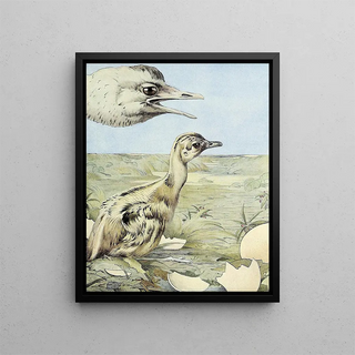 Edward Julius Detmold - The Rhea.webp