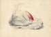 En flamingo - Edward Lear — vy av konstverket