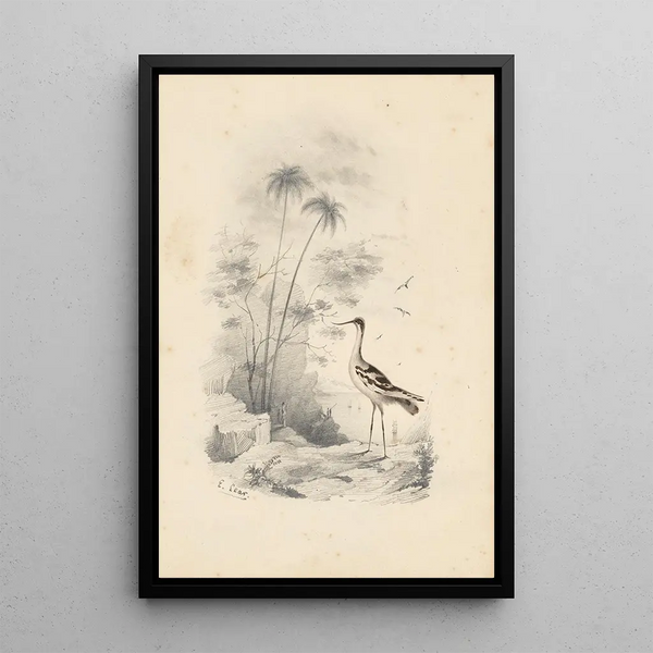 Reproduktion av målningen Une avocette - Edward Lear