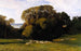 Nuneham - Edward Lear — vy av konstverket