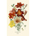 Salpiglossis Sinuata - Edward Step — vy av konstverket