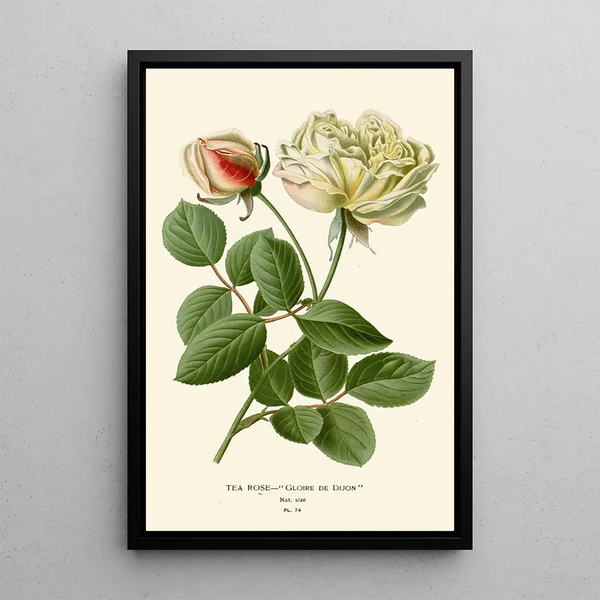 Reproduktion av målningen Rose Thé - Edward Step