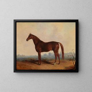 Edward Troye - Henry in a Landscape.webp