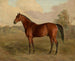 Pic du Kentucky - Edward Troye — vy av konstverket