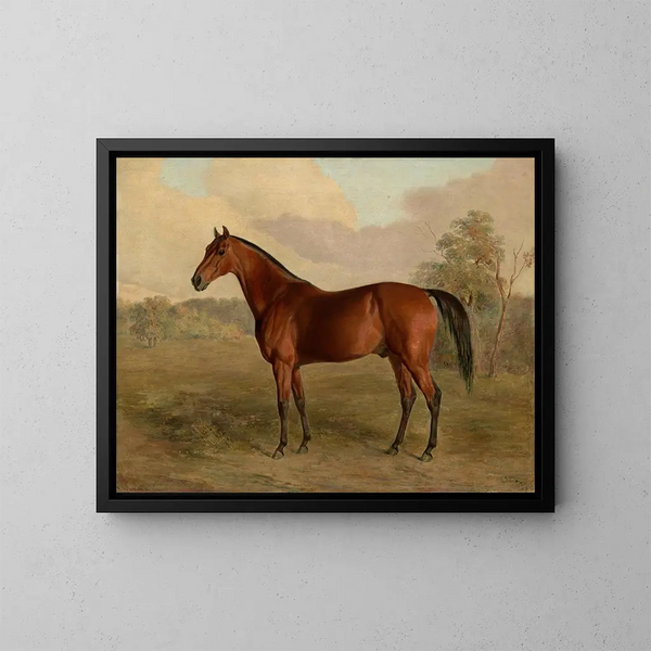 Pic du Kentucky - Edward Troye — inramlat konstverk på väggen
