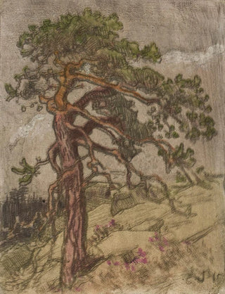 Eero Jrnefelt - Kalliopetj.webp