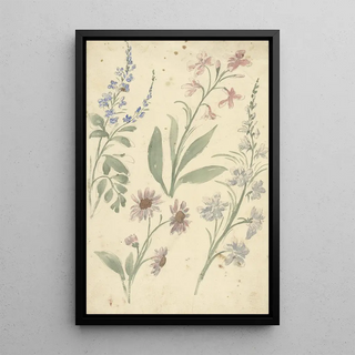 Elias van Nijmegen - Vier studies van roze en blauwe bloemen.webp