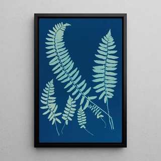 Ella J C Hurd - Ferns of Huntington Long Island Pl06.webp