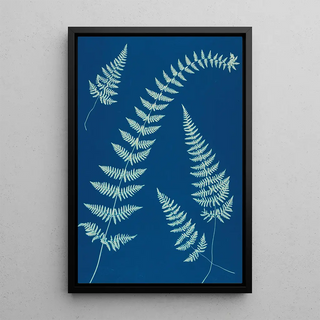 Ella J C Hurd - Ferns of Huntington Long Island Pl08.webp