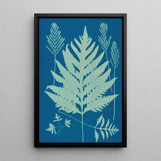 Ella J C Hurd - Ferns of Huntington Long Island Pl22.webp