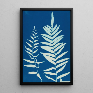 Ella J C Hurd - Ferns of Huntington Long Island Pl35.webp