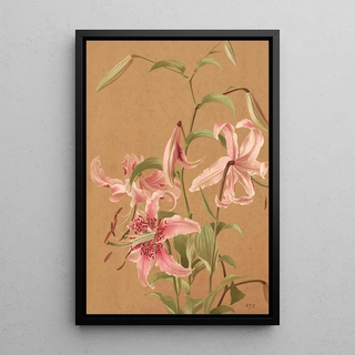 Ellen Fisher - Lilies.webp