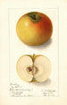 Malus domestica Landsberg - Ellen Isham Schutt — vy av konstverket