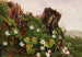 Vilda blommor nr 2 - Ellen Robbins — vy av konstverket