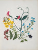 W Album de fleurs en papier découpé pl. 01 - Ellen W. — vy av konstverket