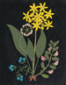 W Album de fleurs en papier découpé pl. 04 - Ellen W. — vy av konstverket