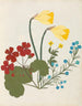Album de fleurs en papier découpé pl. 05 - Ellen W. — vy av konstverket
