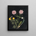W Album de fleurs en papier découpé pl. 14 - Ellen W. — inramlat konstverk på väggen