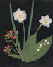 W album de fleurs en papier découpé pl. 18 - Ellen W. — vy av konstverket