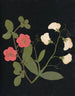 W Album de fleurs en papier découpé Målning Pl19 - Ellen W. — vy av konstverket