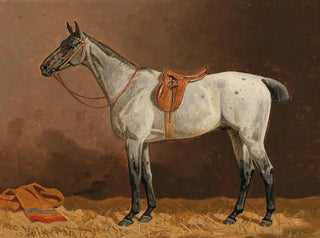 Emil Volkers - A White Horse in the Stable.webp