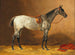 Cheval de selle - Emil Volkers — vy av konstverket