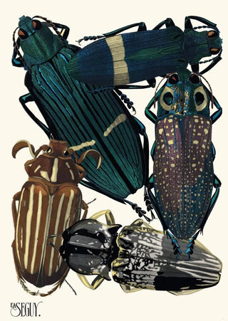 EmileAllain Sguy - Insectes Pl05.webp