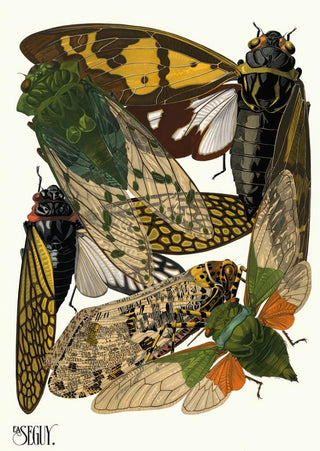 EmileAllain Sguy - Insectes Pl12.webp