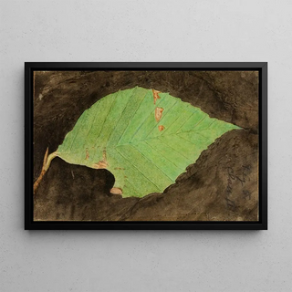 Emma Beach Thayer - Smaller Spotted Beach Leaf Edge Caterpillar.webp