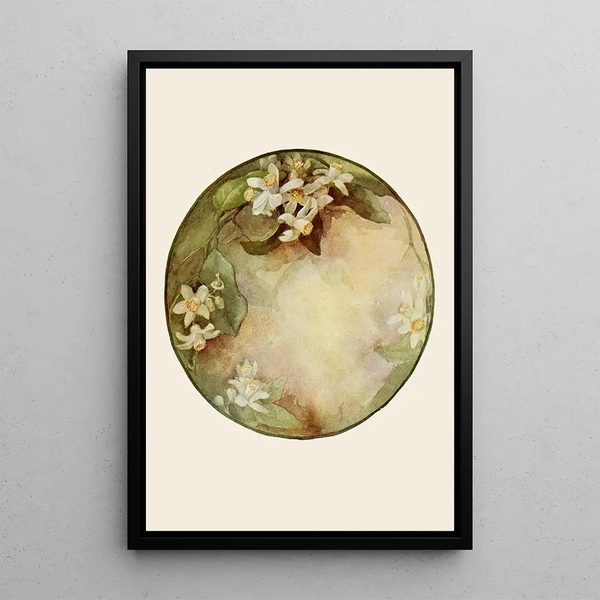 Emma L Bigelow - Plate Orange Blossoms.webp