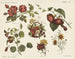 Blommor - Emrik Binger — vy av konstverket