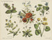 Blommor från fältet - Emrik Binger — vy av konstverket