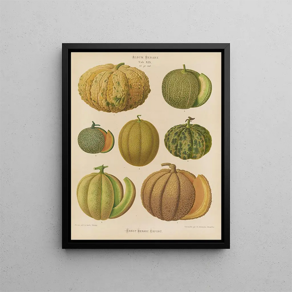 Melons - Ernst Benary — inramlat konstverk på väggen