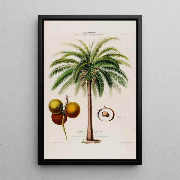Etienne Denisse - Flore dAmerique dessinee dapres nature sur les lieux Pl065.webp